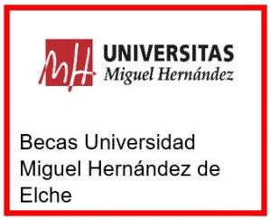 Becas Universidad Miguel Hernández de Elche